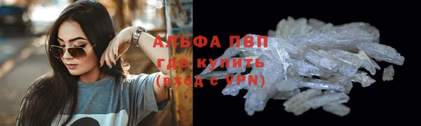прущие крисы Аркадак